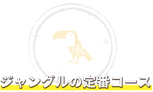 ジャングルの定番コース