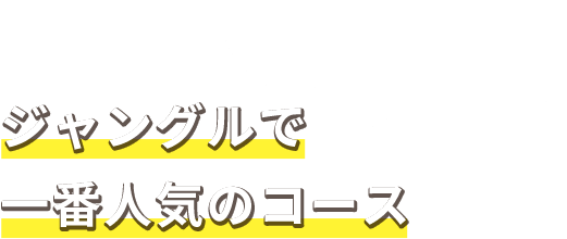 一番人気のコース