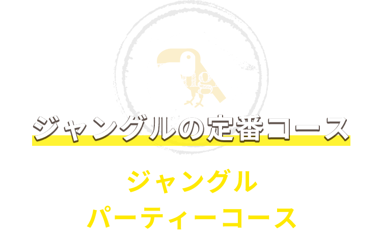 ジャングルの定番コース