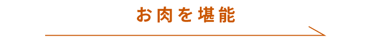 お肉を堪能